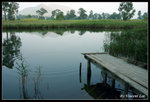 namsangwai15