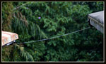 IMG_3533s