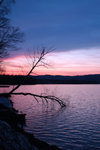 DSC_2123orginal