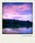 DSC_0089-pola copy