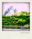 DSC_1121-pola copy