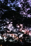 DSC_3849re