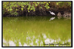 IMG_4529fs