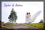IMG_7711cover