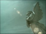 img_0458rs