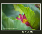 IMG_0649fs