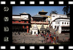 Nepal_death