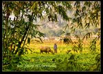 IMG_0885fs
