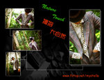 King _mix2
