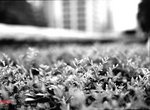 645n_tmax102