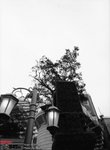 645n_tmax103