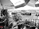 645n_tmax104
