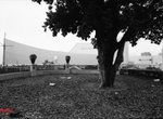 645n_tmax112