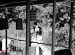 645n_tmax114