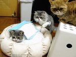 IMG_0359G12