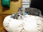 IMG_0361G12