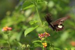 FYUNE_5DII_06