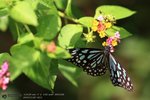 FYUNE_5DII_07