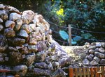 HH_645N_E100VS05