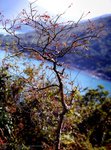 HH_645N_EKTAR11