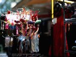 LMI_M645_RDP_002