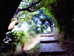 SMC_M645_EKTAR_012
