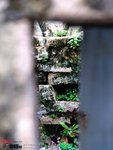 SKT_645N_RXPA07