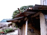 SKT_645N_RXPA11