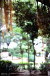 st_645N_RDPIII32