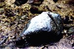 SYT3_EOS3_VIS20002