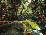 TM_M645_E100VS_06