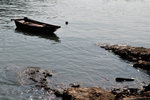 lamma103