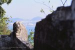 MGS_FG_AGFA_CT_02