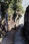 MGS_FG_AGFA_CT_04