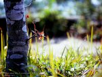 MGS_M645_RVP100_08