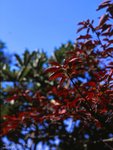 REDK_M645_RDPIII_024