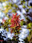 SWCK_645N_160NCA_05
