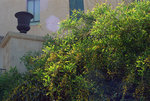 telaviv_17