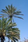 telaviv_23