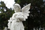 CIMG0744