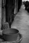 DSC_0287