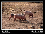 03 - �g�����p�ޡG�O�Q�ή���M��^�a�����ܡH