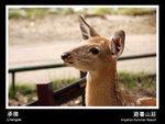 38 - �״��s��X�G�H�����b�饻�`�}�P���P��A�Nı�o�Ӽw��������S�O�Q�H���w�A�p���i�R�A�j���T���A�Q�Y�]���й�