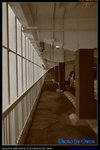 2008.01.27 �y�F�C - 070
