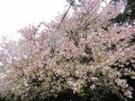 DSC04939
