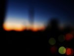 DSC05454