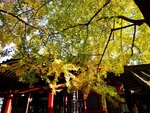 DSC05543