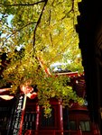 DSC05556