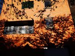 DSC05601