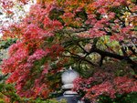 DSC05657